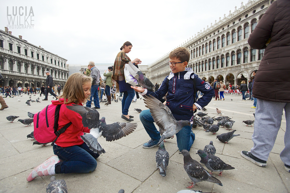 Pigeons in Piazza San Marco